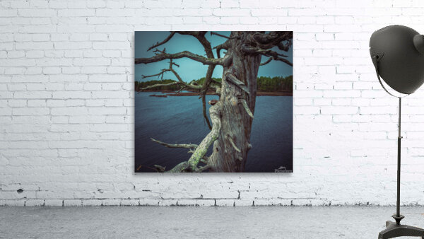 Osprey Peaking Wall Preview