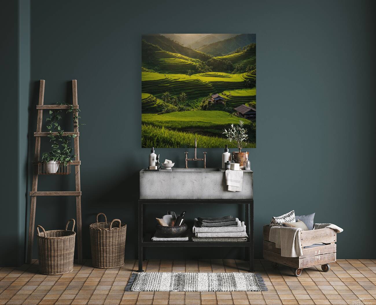 terraced rice fields  Reproduction
