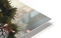 windstorm visibly trees swaying HD Metal print