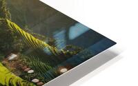 terraced rice fields  HD Metal print