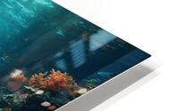 Surreal underwater HD Metal print