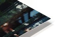 forest HD Metal print
