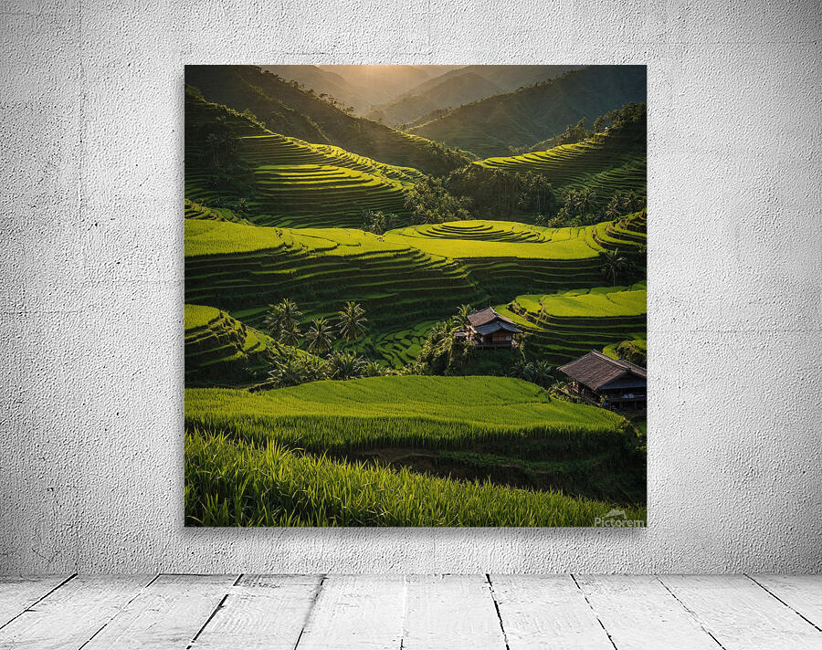terraced rice fields  Wall Preview