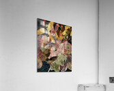 IMG 3997 Acrylic Print