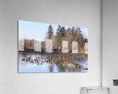 IMG 2499 Acrylic Print