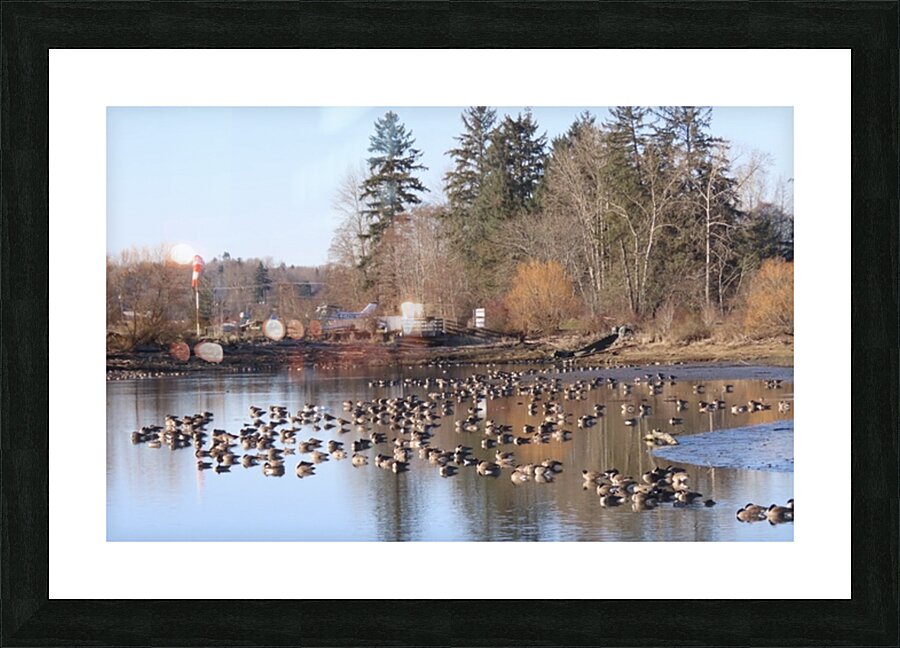 IMG 2499 Picture Frame print
