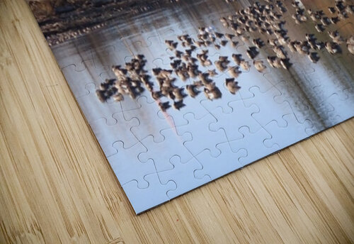 IMG 2499 Ann Kelly puzzle