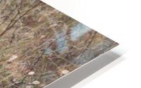 IMG 2122 HD Metal print