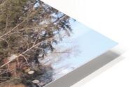 IMG 2499 HD Metal print