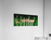 White tail deer Acrylic Print