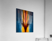 Illusion   27 Acrylic Print