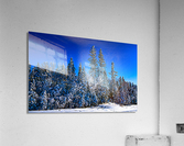 Saskatchewan winter Acrylic Print