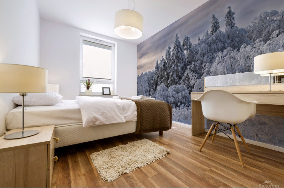 Saskatchewan forest Mural print