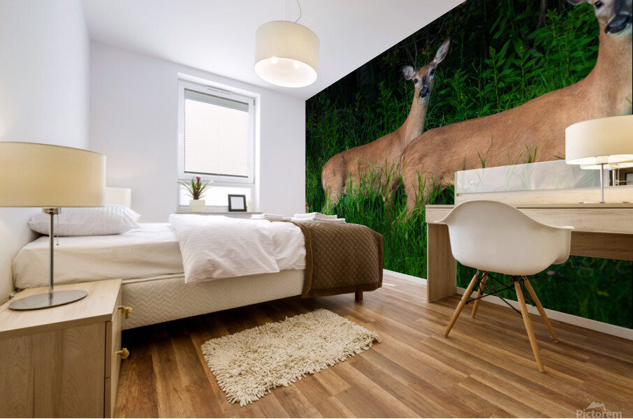 White tail deer Mural print