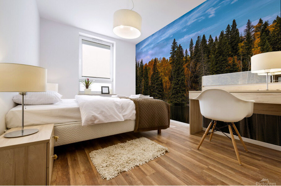 Jackfish Lake Saskatchewan Mural print