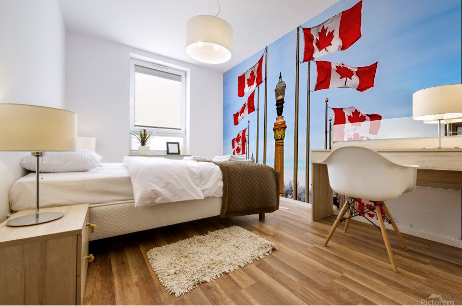 Canadian Flags Mural print