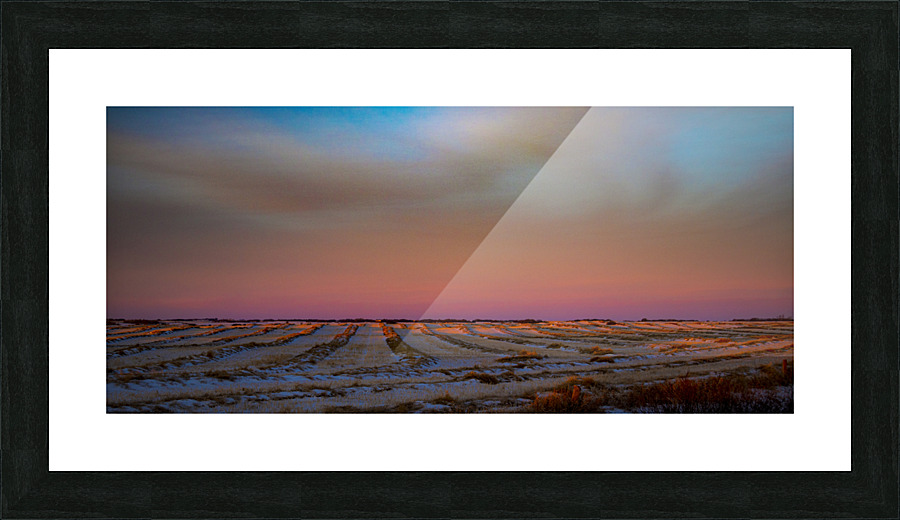 Saskatchewan Picture Frame print