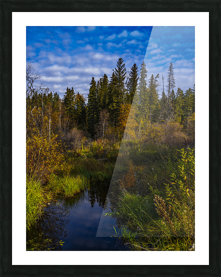 Northern Saskatchewan Picture Frame print