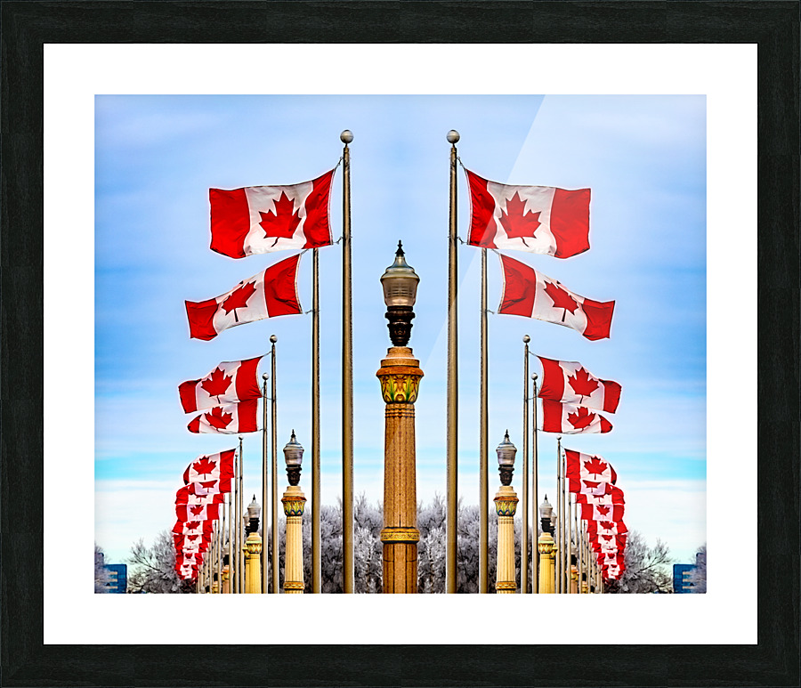 Canadian Flags Picture Frame print