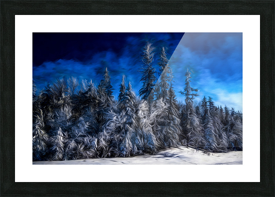 Saskatchewan Forest 12 Picture Frame Printing