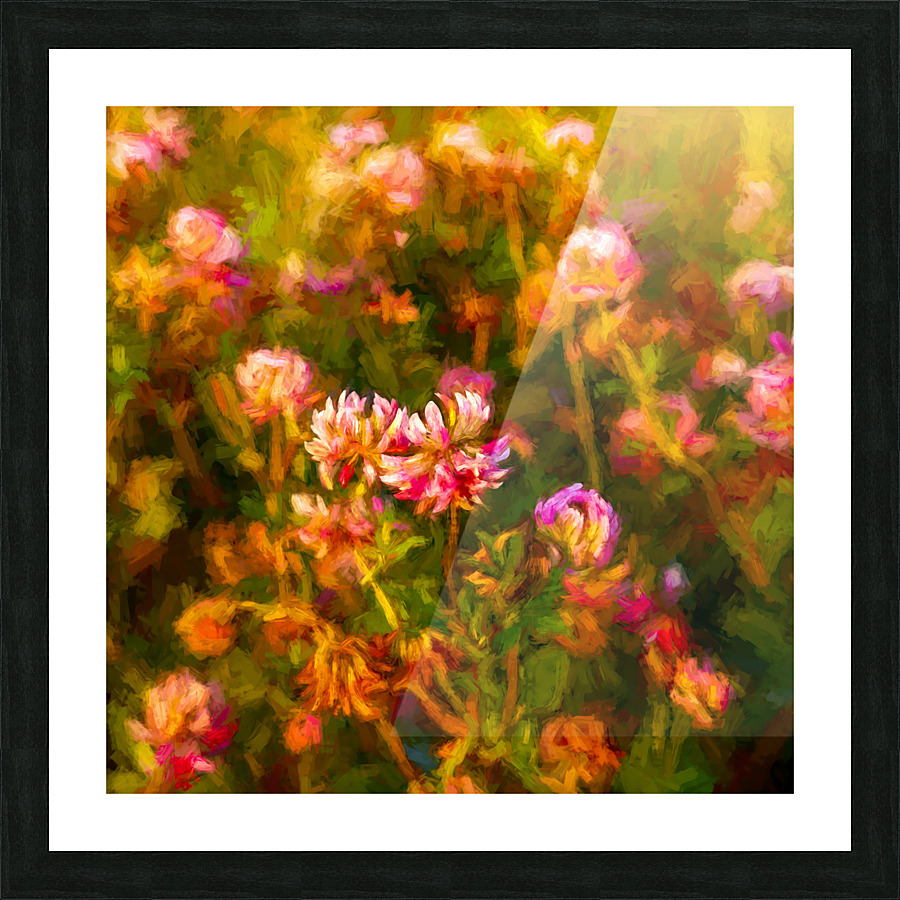 Saskatchewan Clover20 Picture Frame print