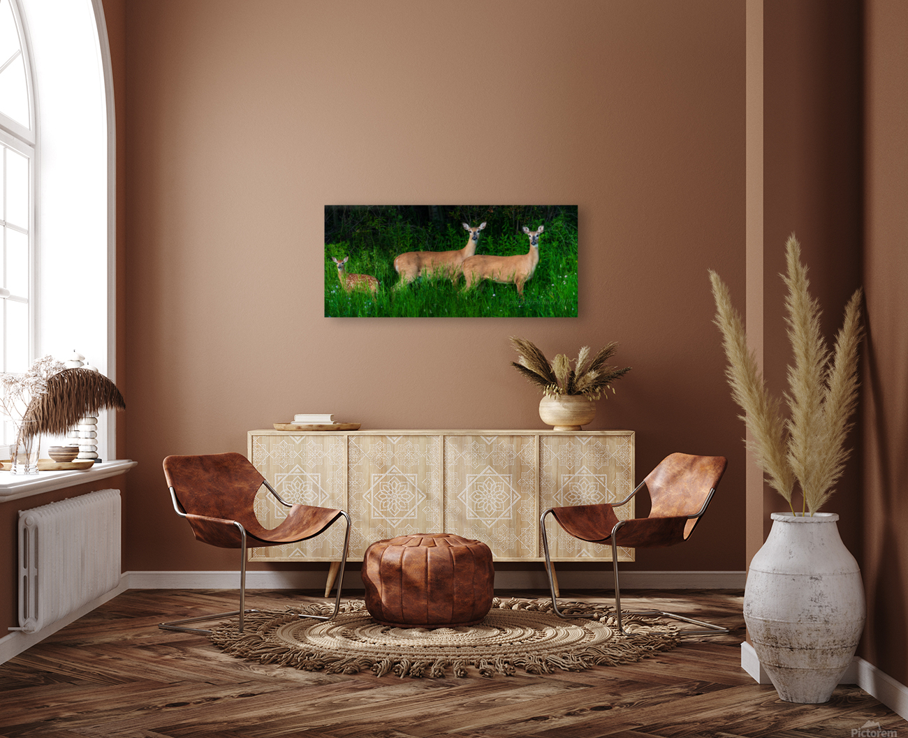 White tail deer Reproduction