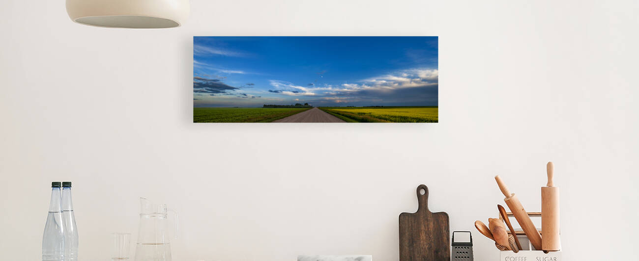 Saskatchewan Grid Road by Mark Greschner 