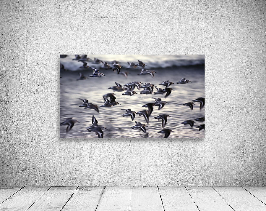 Vancouver Island B.C Wall Preview