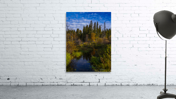Northern Saskatchewan Wall Preview