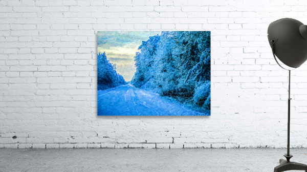 Saskatchewan winter road30 Wall Preview