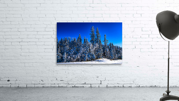 Saskatchewan winter Wall Preview