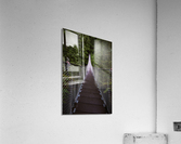 Suspension bridge  Acrylic Print