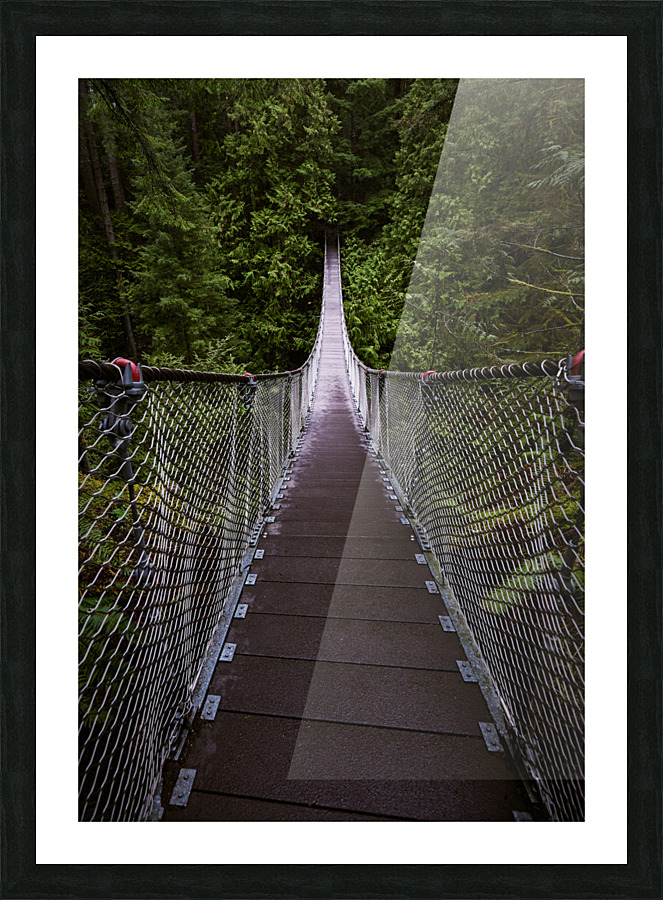 Suspension bridge  Picture Frame print