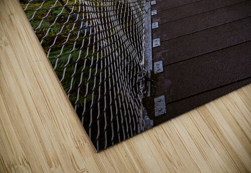 Suspension bridge  Darius Gossi puzzle