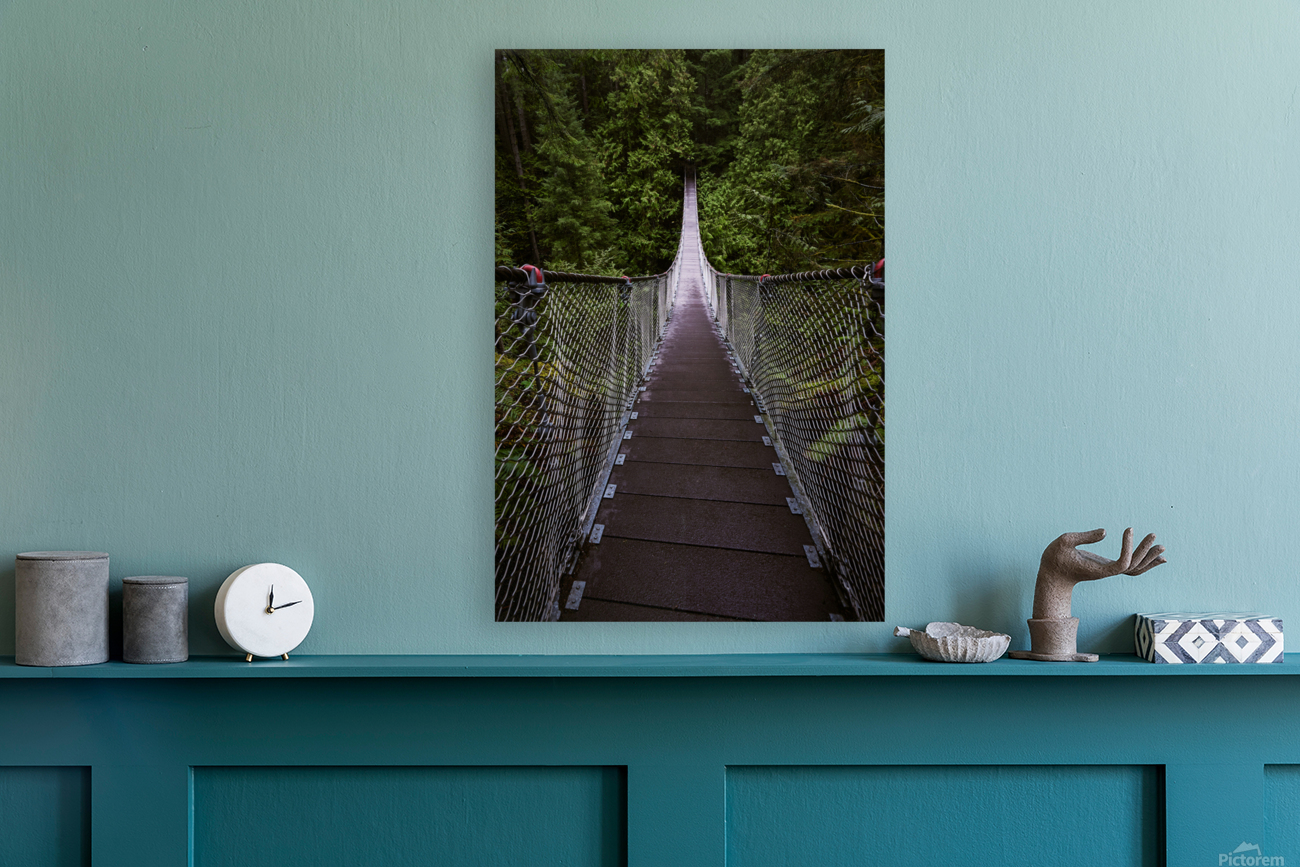 Suspension bridge  Reproduction