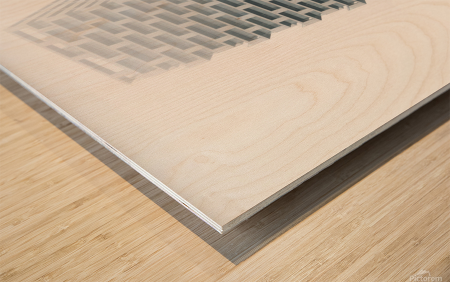 Sky scraper  Wood print