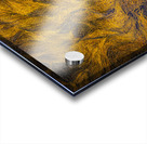 Blue Rocks Kelp Acrylic print