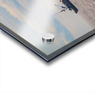 Fisherman Flock Acrylic print