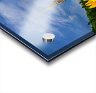 The Basilica of Sainte-Anne-de-Beaupre Acrylic print