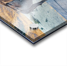 Bison Crossing Acrylic print