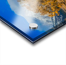 Fall Tetons Acrylic print