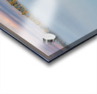 Teton Dam Acrylic print