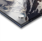 Majestic View Acrylic print