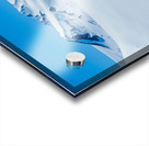 Icefield View Acrylic print