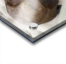 Sunwapta Falls Boulder Acrylic print