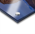 After Dusk at Delicate Arch Acrylic print