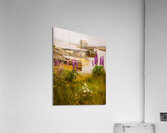 Blue Rocks Boat House Acrylic Print