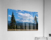 Two Pine Rainier Acrylic Print