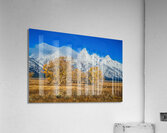 Fall Tetons Acrylic Print