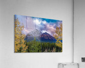 Little Temple Larches Acrylic Print